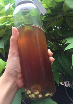 Hình của món Trà quất (tắc).