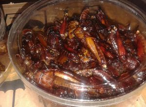Foto resep Belalang goreng bumbu bacem