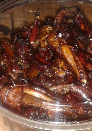 Foto resep Belalang goreng bumbu bacem