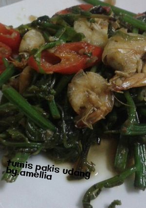 Foto resep Tumis pakis udang