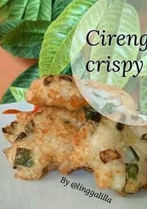 Foto resep Cireng nasi crispy (LLA)
