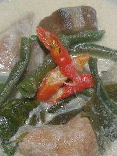 Foto resep Sayur lodeh