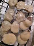 Ostras a la parmesana