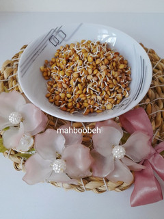 عکسی از دستور جوانه عدس