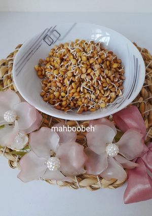 عکسی از دستور جوانه عدس