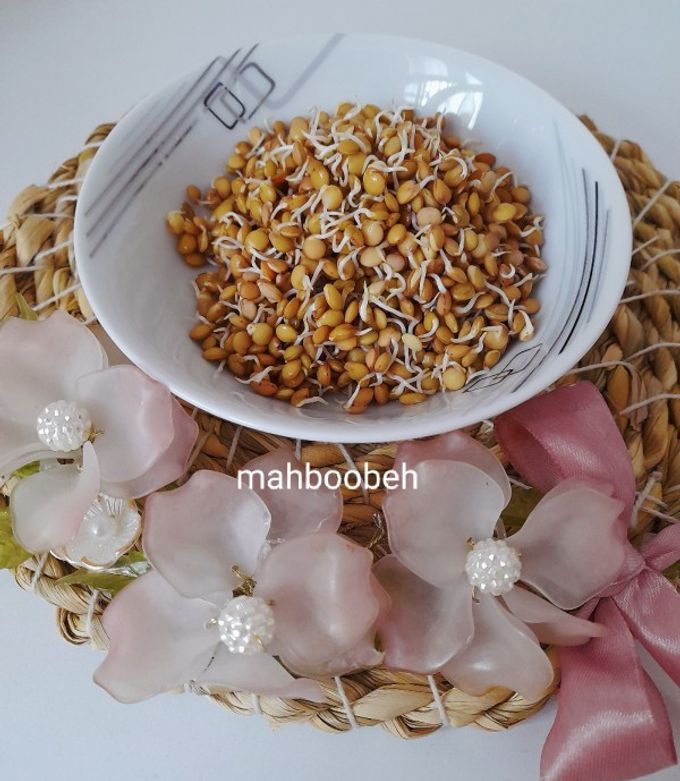 عکسی از دستور جوانه عدس