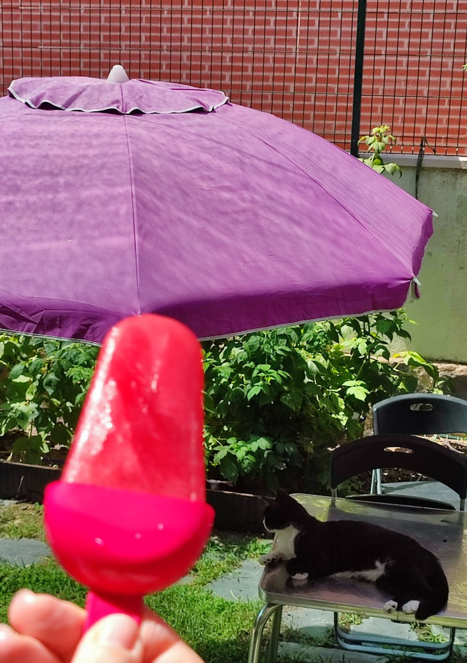 Una foto de Polos o paletas de helado de aloe vera súper saludables