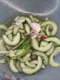 Ivory Coast Cucumber/Zucchini Salad - Ivory Coast 🇨🇮