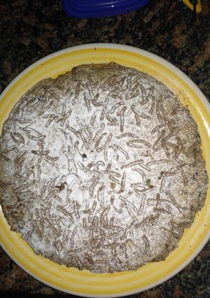 Una foto de Torta soufflé rápido antojo de medianoche 🎇 vegetariano