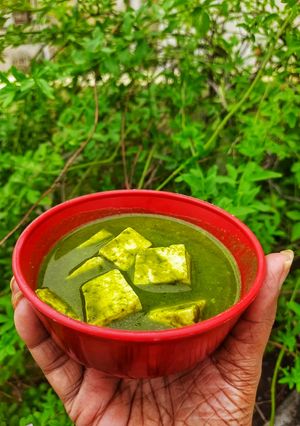 व्रत वाला पालक पनीर (Vrat wala palak paneer recipe in hindi) रेसिपी मुख्य फोटो