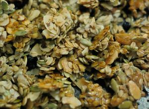 Foto resep Chunky Coconut Granola