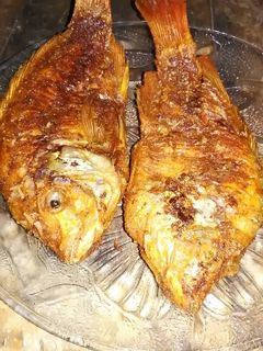 Foto resep Kakap/Nila goreng