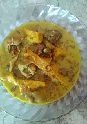 Foto resep Kare hati ampela ayam plus tahu