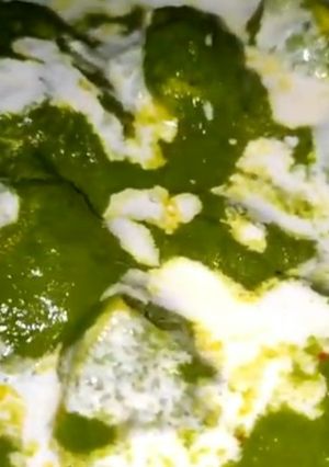 A picture of Palak paneer- e -khas.
