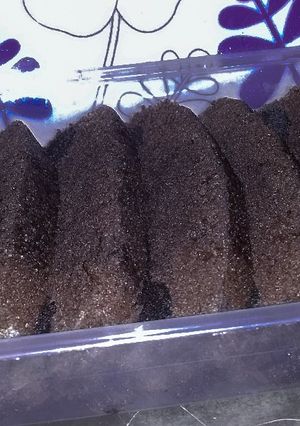 Foto resep Brownies kukus coklat