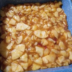A picture of Sugar Free Apple Pie Filling.