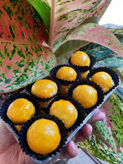 Foto resep Nastar Lumer
