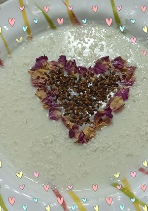 عکسی از دستور فرنی 🥣