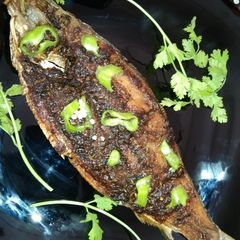 A picture of Sindhi hilsa fish.
