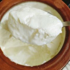 A picture of Homemade Yogurt (Dahi).