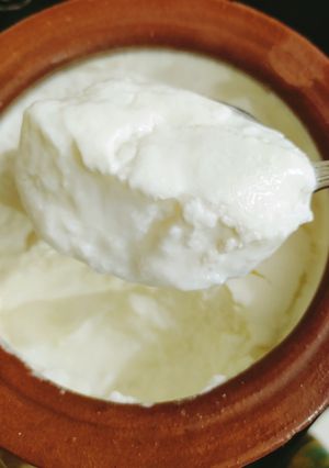 A picture of Homemade Yogurt (Dahi).