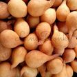 Kue Temu Kunci