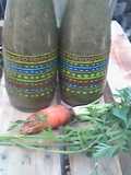 Zumo de zanahoria y batido de nopal