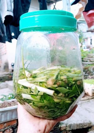 Hình của món Rau cần nước muối chua.