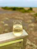 Flor de sauco spritz
