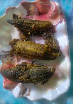 A picture of Stuff karela.