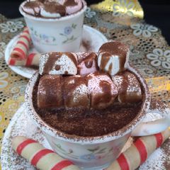 A picture of Italian Hot Chocolate.