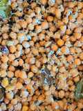 Channa Sundal (garbanzos salteados)