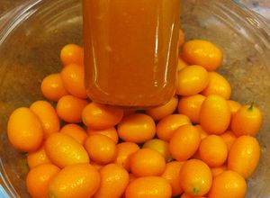 Foto principal de Mermelada naranja china "kumquat" Thermomix