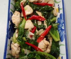 Resep Mudah Tumis Keciwis Ayam Saus Tiram Gurih Mantul