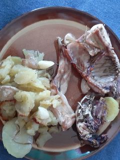 Una foto de Conejo al romero con patatas