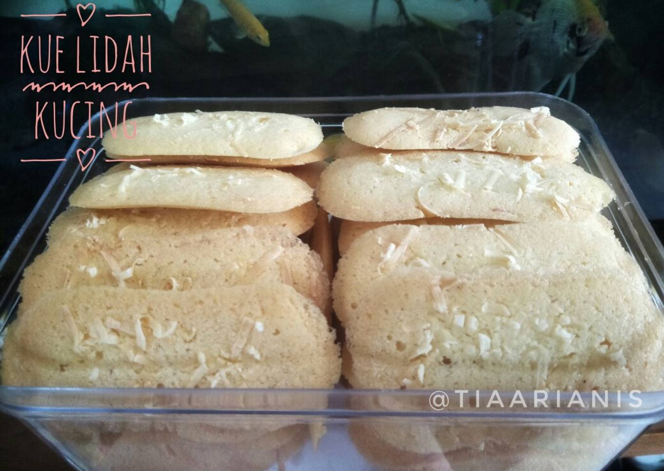 33. Kue Lidah Kucing
