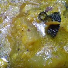 A picture of Bitter gourd dal.