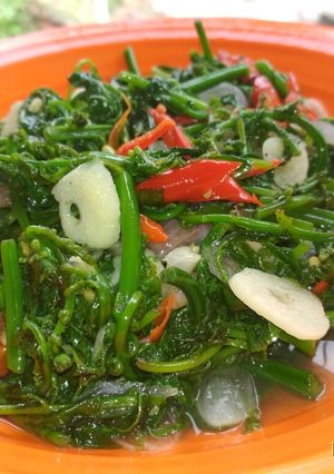 Foto resep 27. Tumis pakis simple