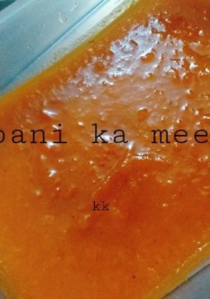 A picture of Khubani ka meetha/ chutney.