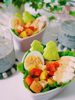 夏日雞胸肉生菜沙拉 的食譜成品照片