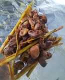 Dạ dày cá ba sa nướng