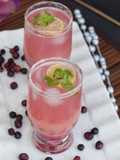 Falsa or Phalsa Sharbat