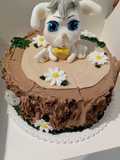 Torta al cioccolato