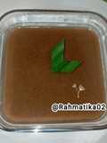 80 Agar-agar Sarikayo