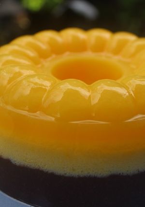 Foto resep Puding Busa Jeruk Lapis Coklat