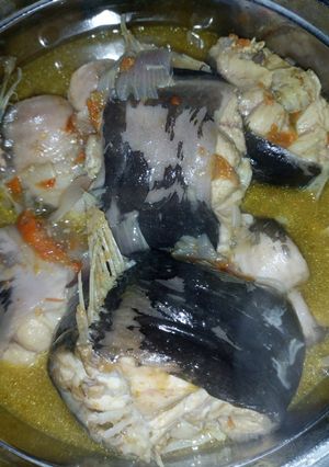 A picture of Farfesun kifi.