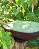 💚 Sinh Tố Bơ Sữa Tươi (Vegetarian)