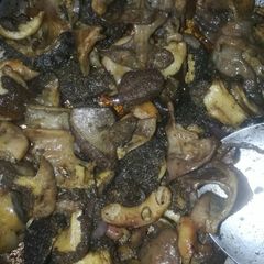 A picture of Matumbo fry.