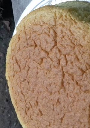 Foto resep Cotton Cheese Cake