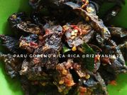 Gambar paru rica